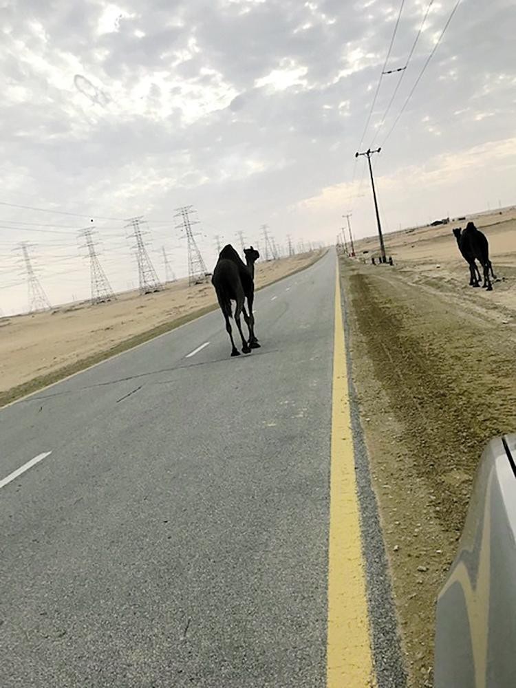 مستشفى «المؤسس» ينشر التوعية بالسكري