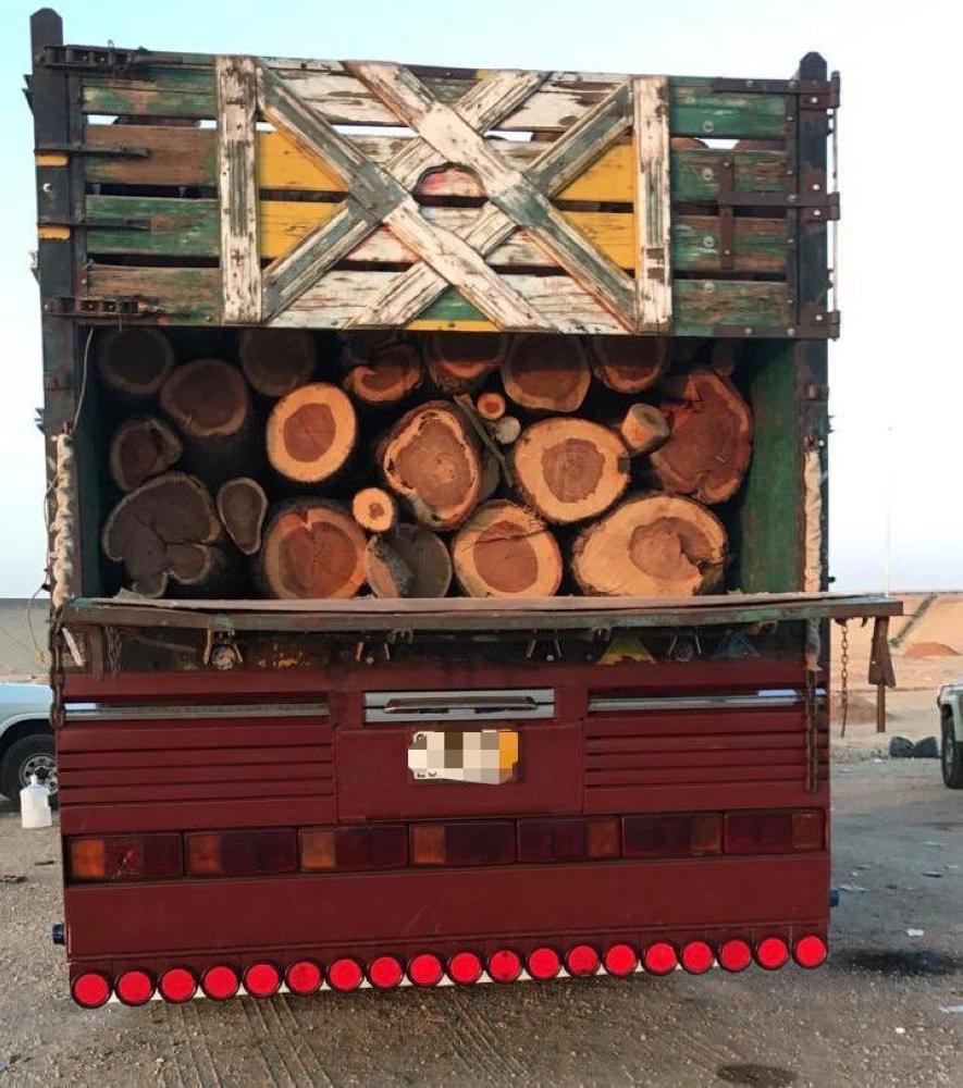 «مذبحة» لأشجار معمرة بالرياض