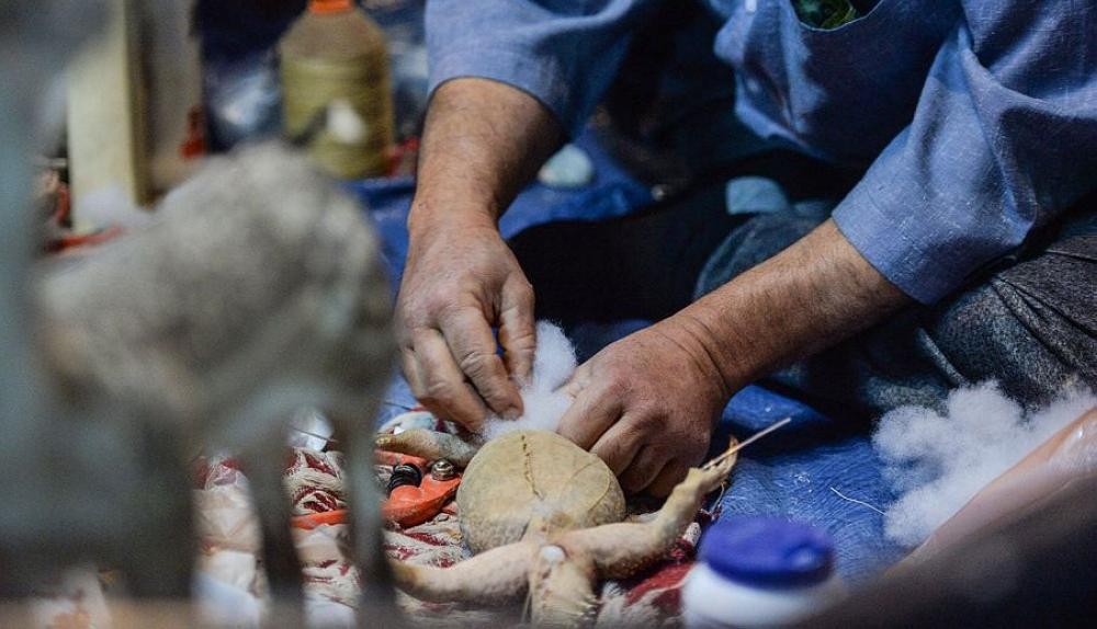 «التحنيط» يستوقف زوار الجنادرية 