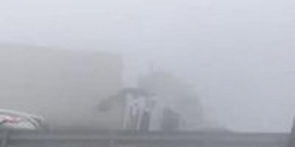 مصرع 7 أشخاص فى حادث مرورى بالهند
