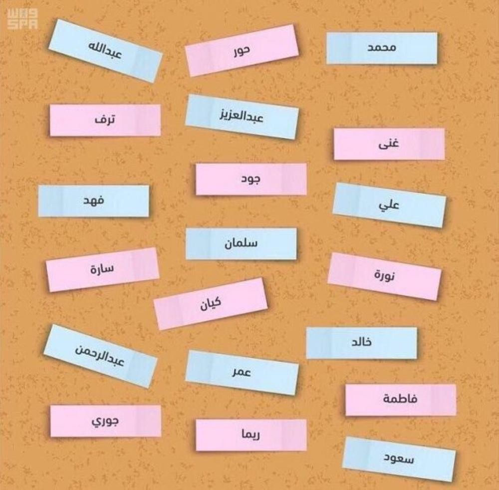 «سلمان» أكثر الأسماء تسجيلاً فى المملكة العام الماضي