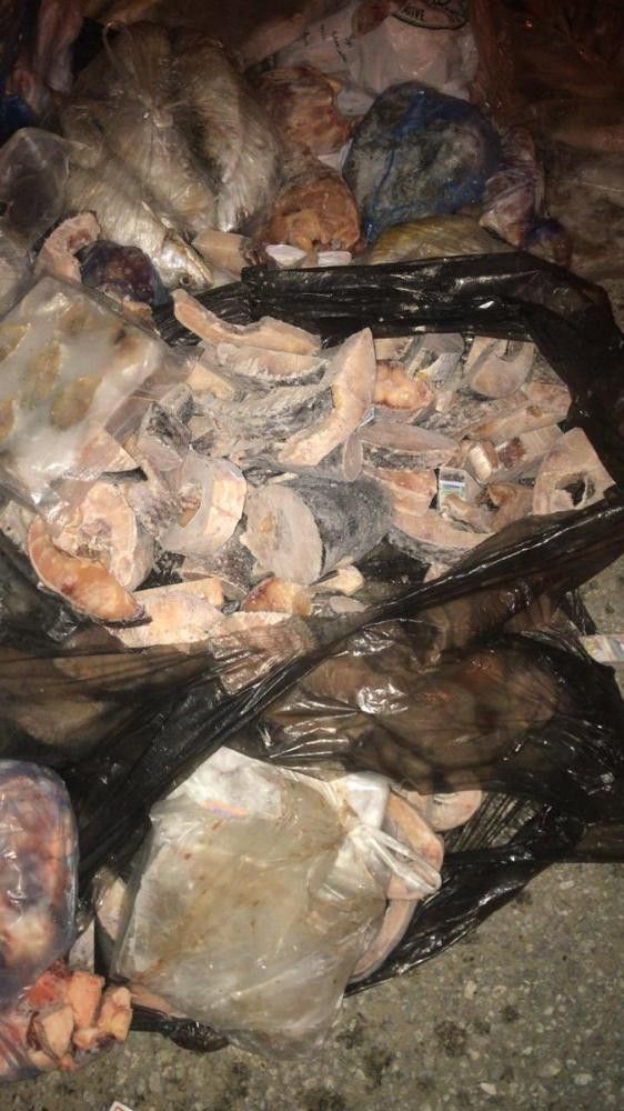 ضبط 1280 كيلو لحوم فاسدة في الخبر