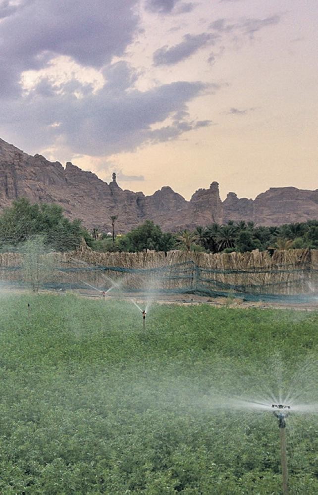 شتاء مختلف.. وسفر عبر التاريخ