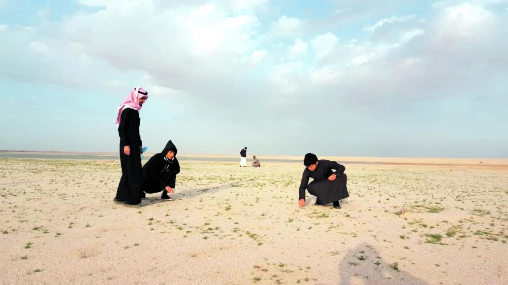 زحام في ربيع النعيرية.. ومتنزهون يبحثون عن الفقع