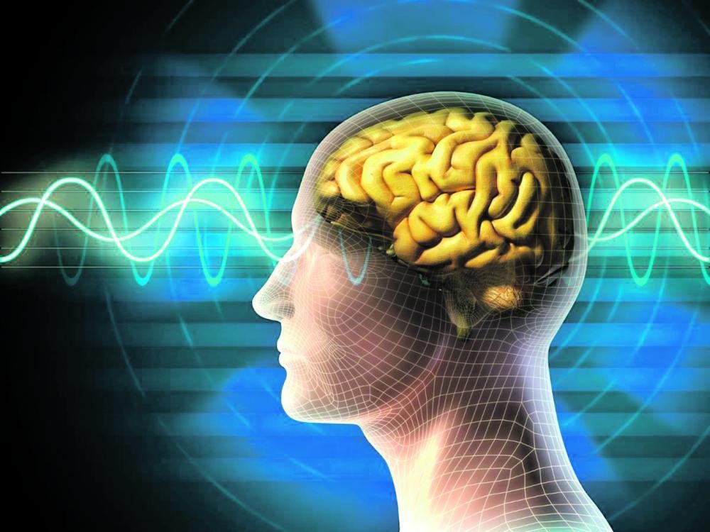هل الإنسان يستخدم 10% فقط من دماغه!؟
