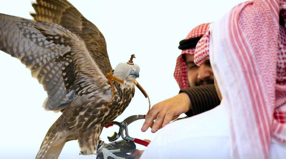 17 مليونًا جوائز مهرجان الصقور