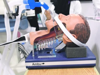 «جامعي الخبر»: 50 % من أمراض الأعصاب جلطات دماغية