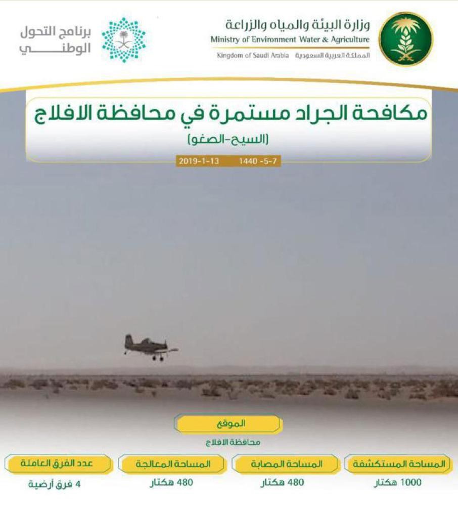مكافحة الجراد الصحراوي بـ«الأفلاج» و«السليل»