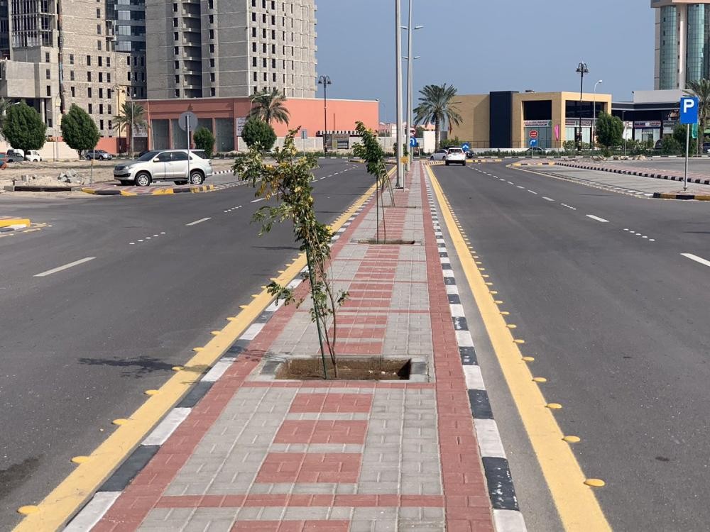 3528 شتلة تزين أحياء الخبر