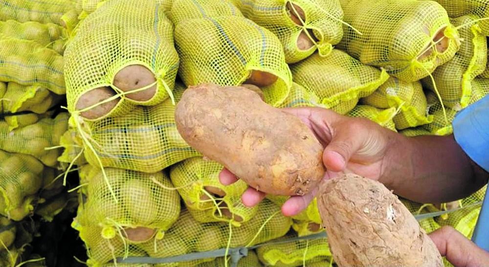 وإتلاف 187 طن أغذية فاسدة خلال عام