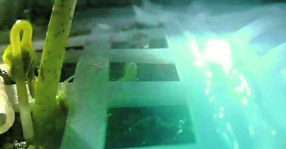 أول نبتة صينية على القمر.. إنجاز لم يعمر طويلا