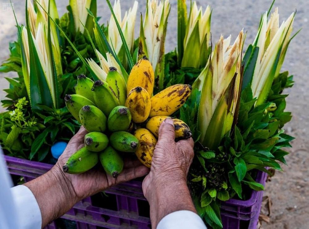 بالصور .. حكاية 85 منزلاً تراثياً على قمة جبل أبيض