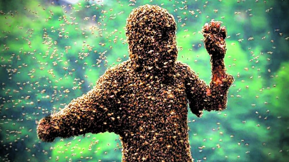 مسابقات غريبة تجمع اللهو والمنافسة.. ومخاطرها حاضرة