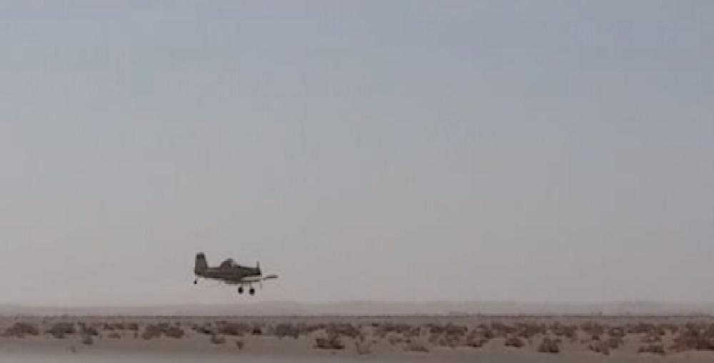 'البيئة' تكافح الجراد في مكة والمدينة