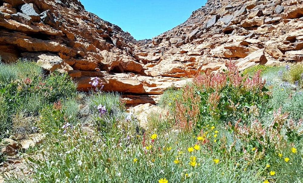الزيارة ممنوعة في 5 محميات طبيعية