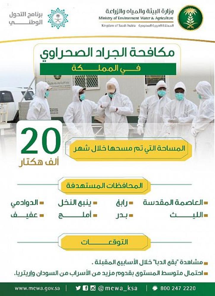 'البيئة' تكافح الجراد فى 6 محافظات