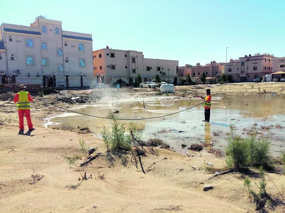 «ضباب حراري» لمكافحة البعوض والحشرات الطائرة بالجبيل