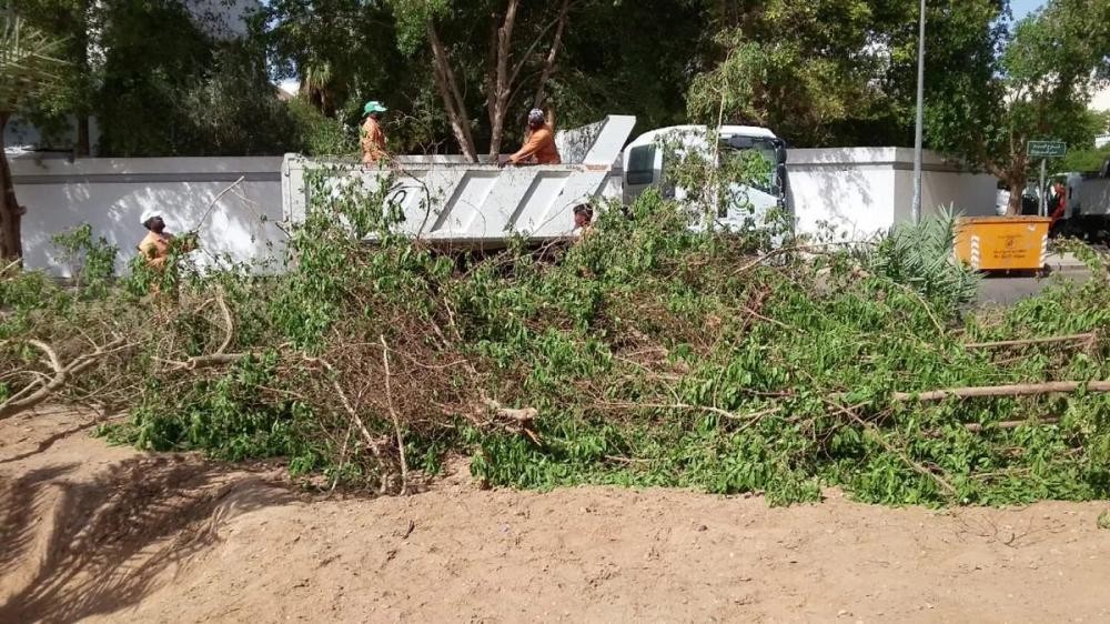 إزالة 104 آلاف طن نفايات بتبوك