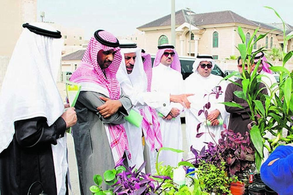 حملة لاستزراع الأشجار المحلية في «شاطئ تاروت»