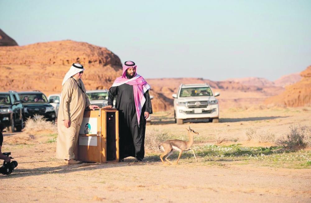 ولي العهد يطلق محمية «شرعان الطبيعية»