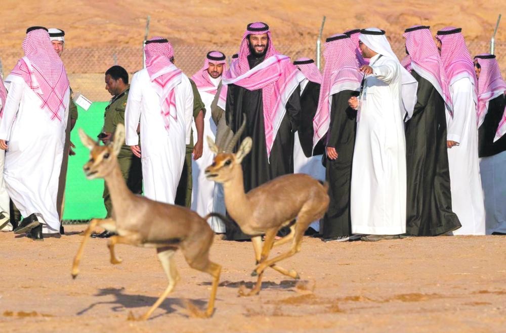 ولي العهد يطلق محمية «شرعان الطبيعية»