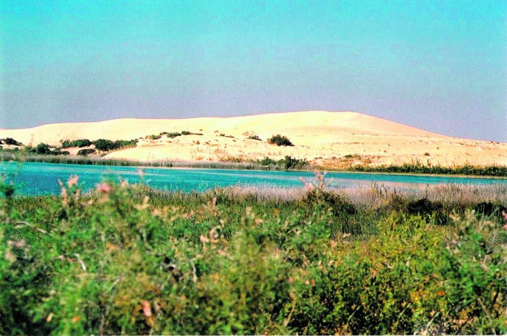 رسميا.. اعتماد بحيرة الأصفر «محمية طبيعية»