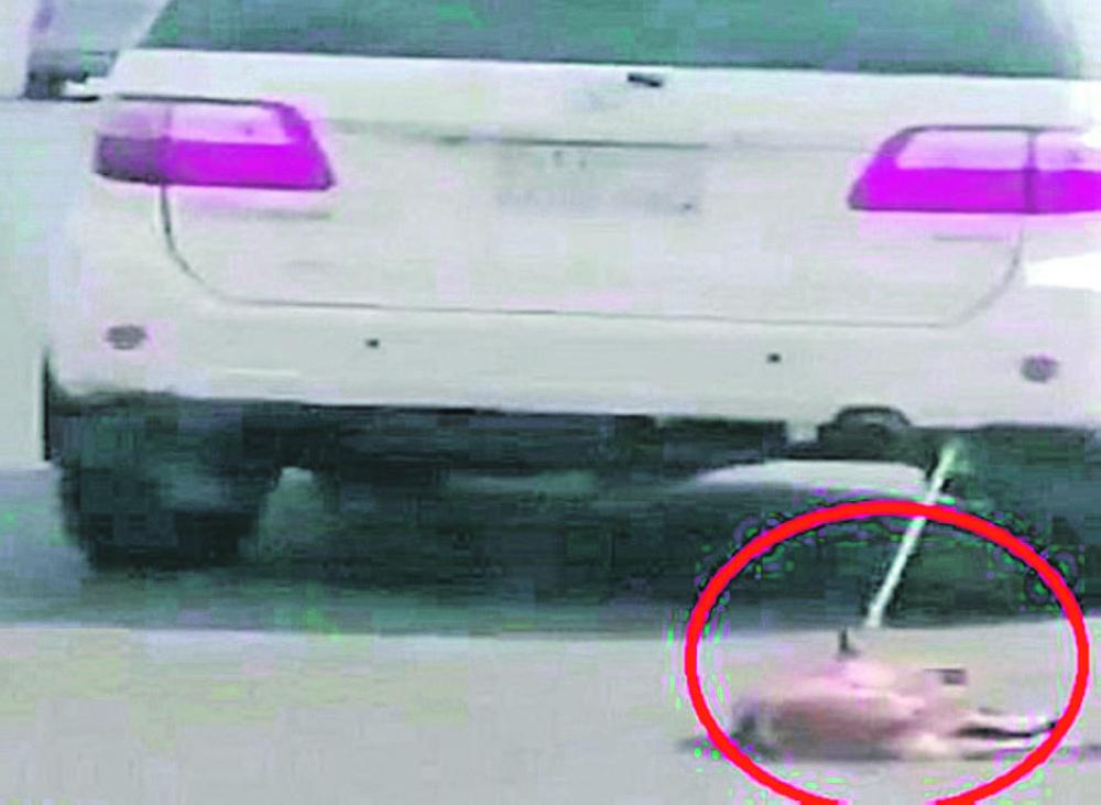 القبض على مواطن «سحل» كلبا بمركبته