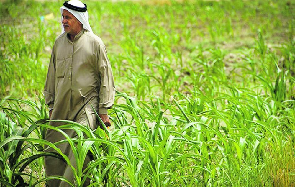 تنظيم مركز وطني لأبحاث وتطوير الزراعة المستدامة