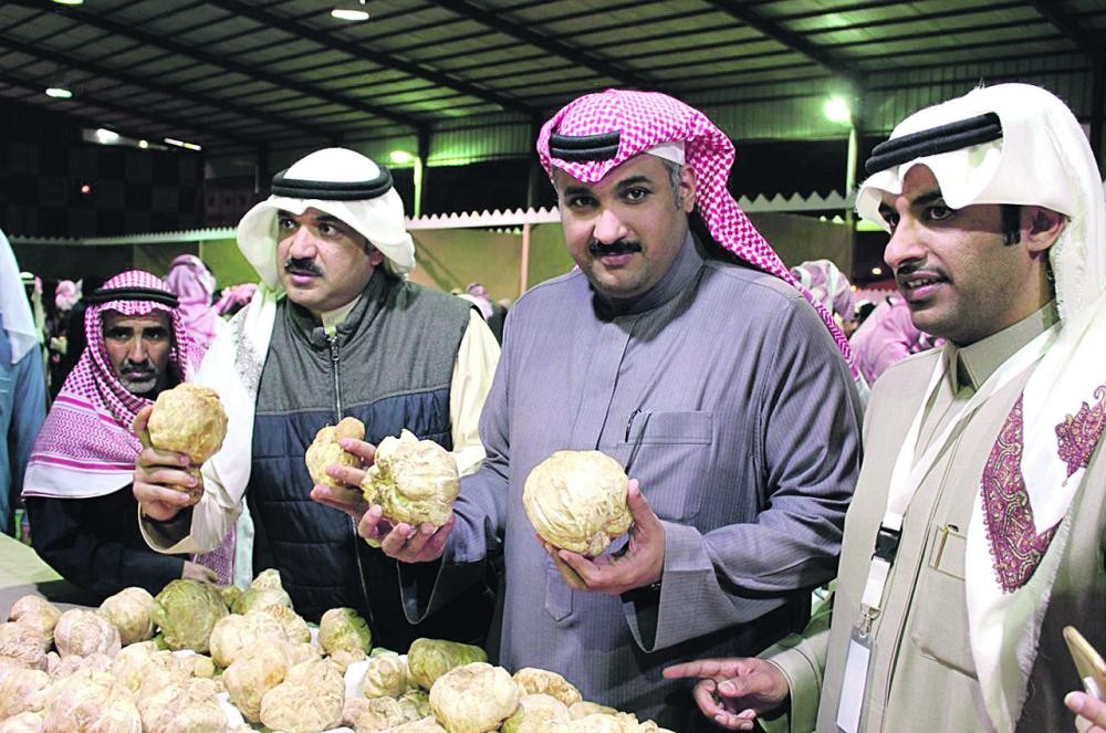 «كمأ» حفر الباطن يستقطب عشاق الثمرة الموسمية