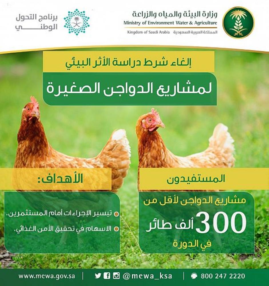 إلغاء شرط «الأثر البيئي» لمشروعات الدواجن الصغيرة