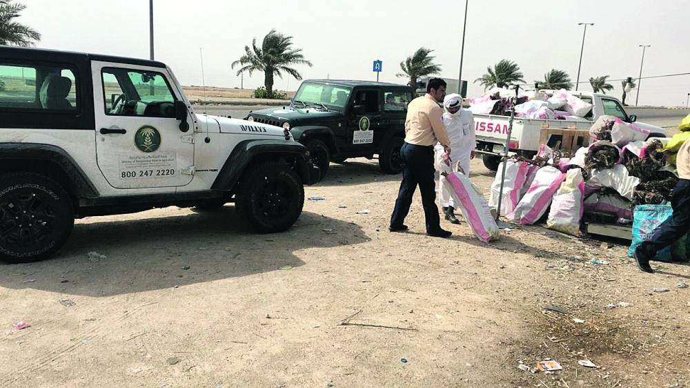 ضبط طني حطب في حفر الباطن