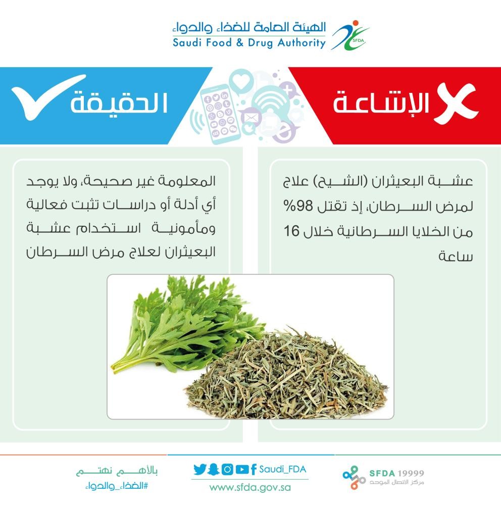 هل «الشيح» يعالج السرطان؟