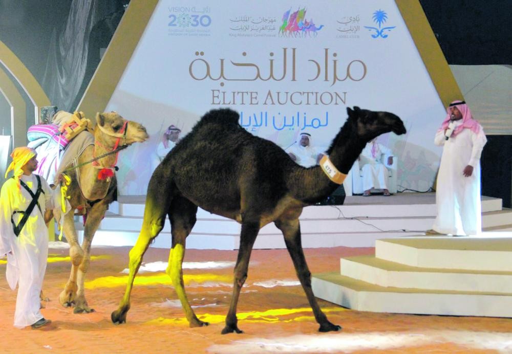 ناقة بـ 2.6 مليون ريال بمزاد النخبة
