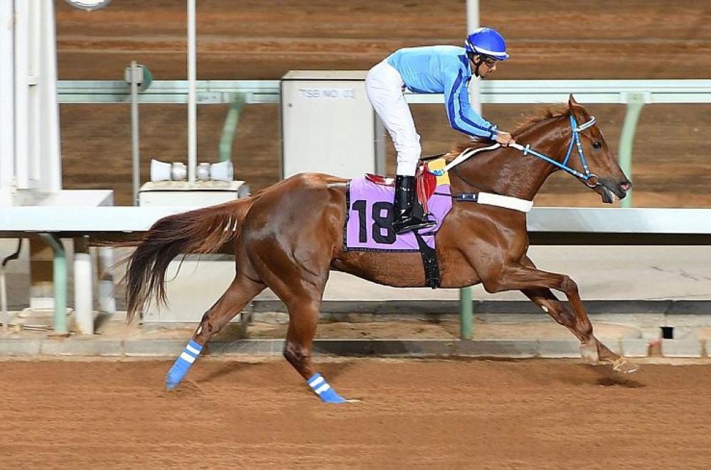 نيابة عن الملك.. أمير الرياض يرعى حفل الفروسية