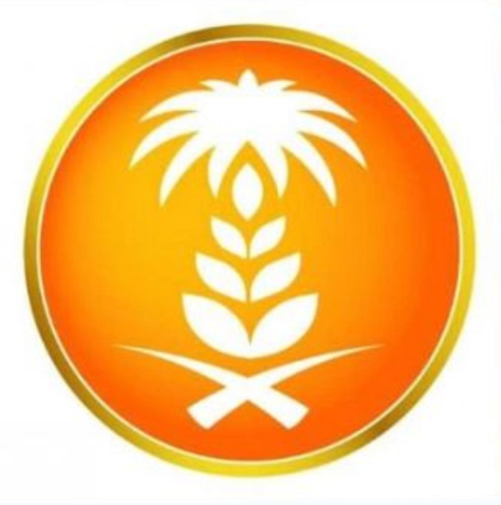 ترسية الدفعة الأولى من القمح المستورد هذا العام