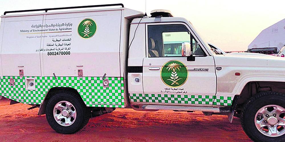 8 عيادات بيطرية متنقلة لخدمة مربي الماشية