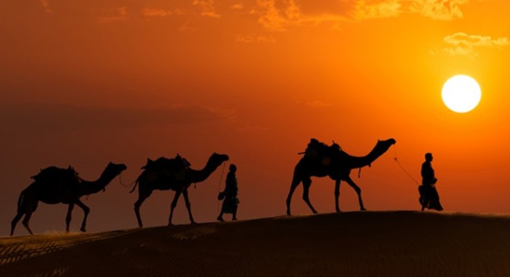 المنبت لا أرضا قطع ولا ظهرا أبقى