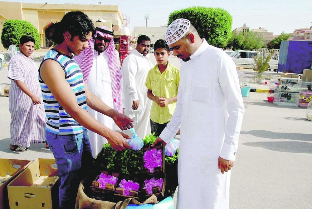 نكهته عطرية فواحة بدء موسم قطاف «الورد الحساوي»