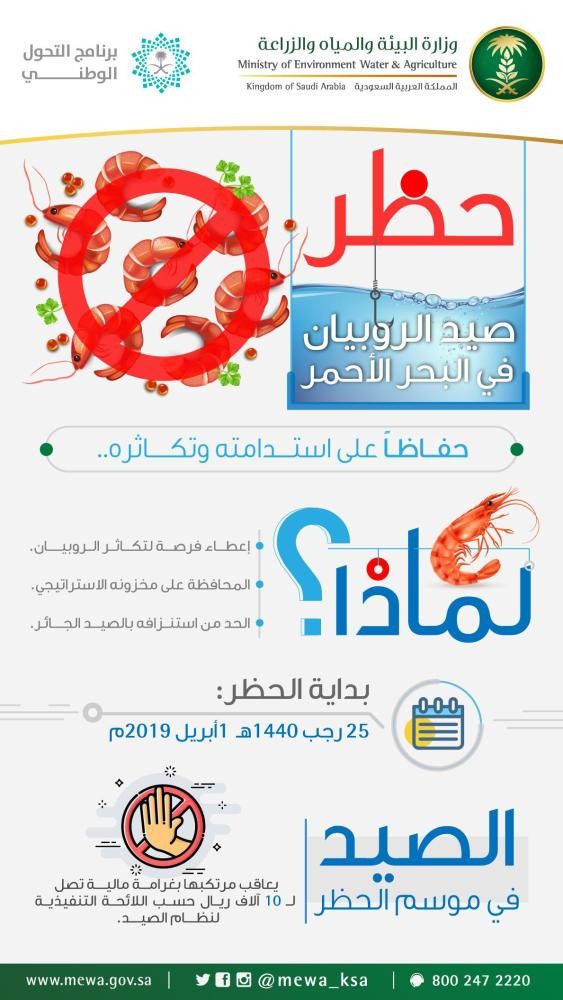 بدء حظر صيد الروبيان أول أبريل المقبل