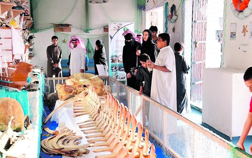 100 كائن بحري محنط في الواجهة البحرية