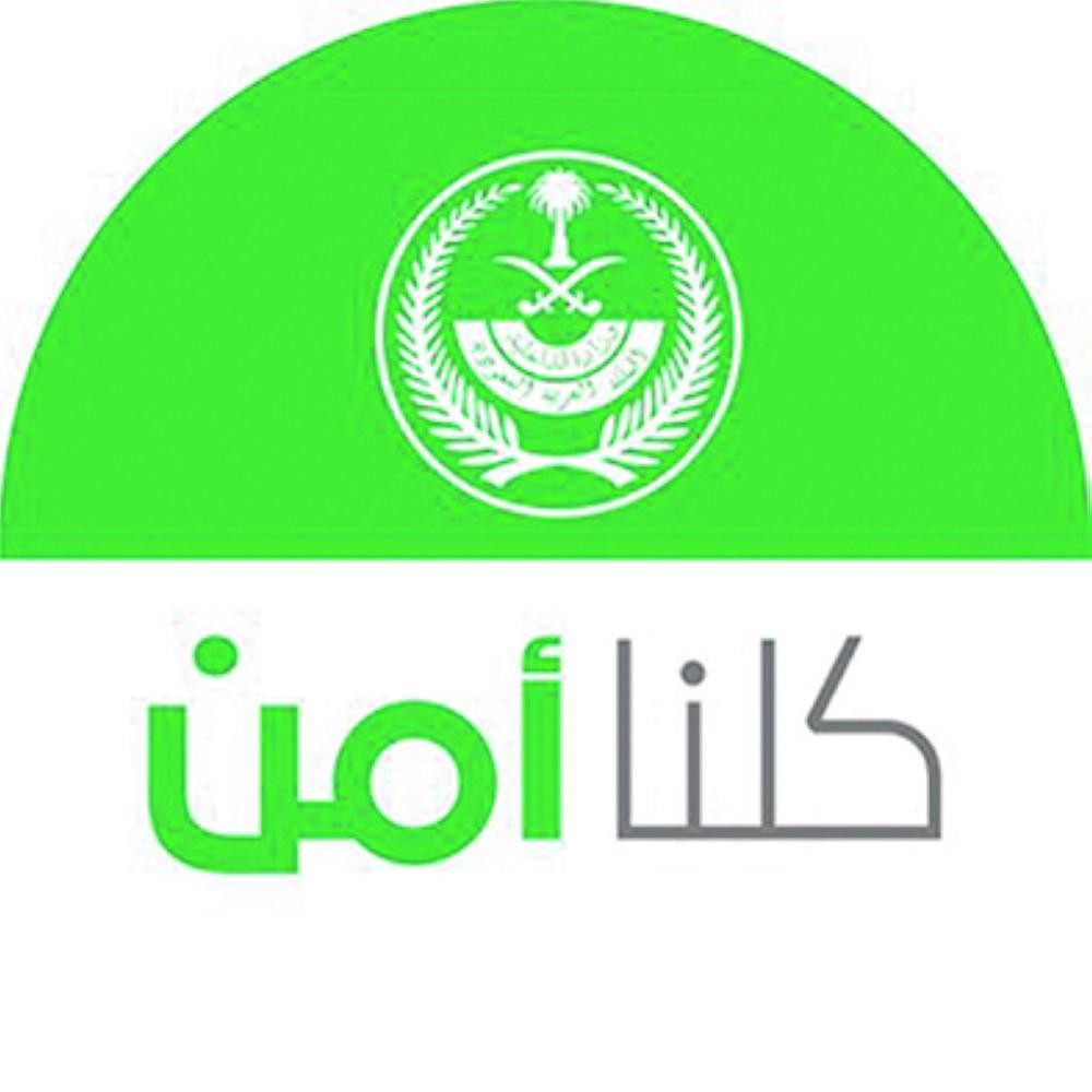 «نقطة نظام»