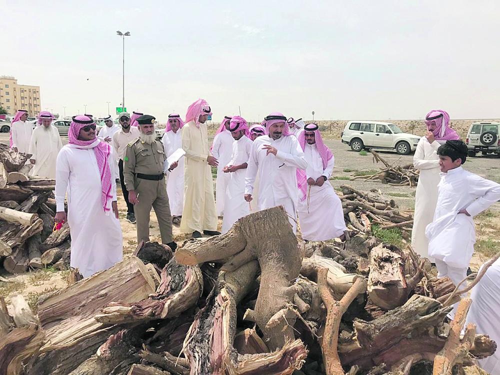النعيرية.. بيع حطب مصادر في مزاد علني