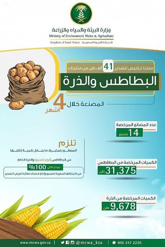 الترخص لـ 14 مصنعاً لتصدير البطاطس والذرة المصنعة