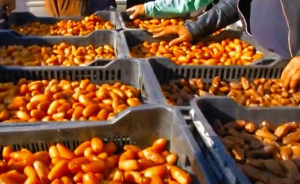 التشهير بمواطن ووافد مُدانين بالتستر في تجارة التمور
