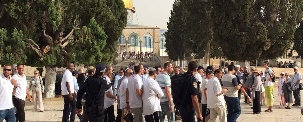 2230 مستوطنًا يقتحمون «الأقصى»