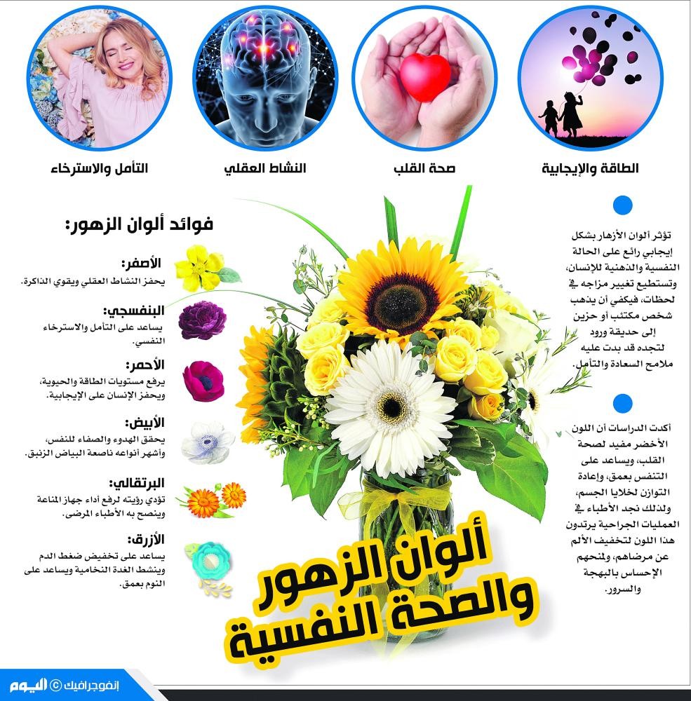 أنفوجرافيك الأخيرة