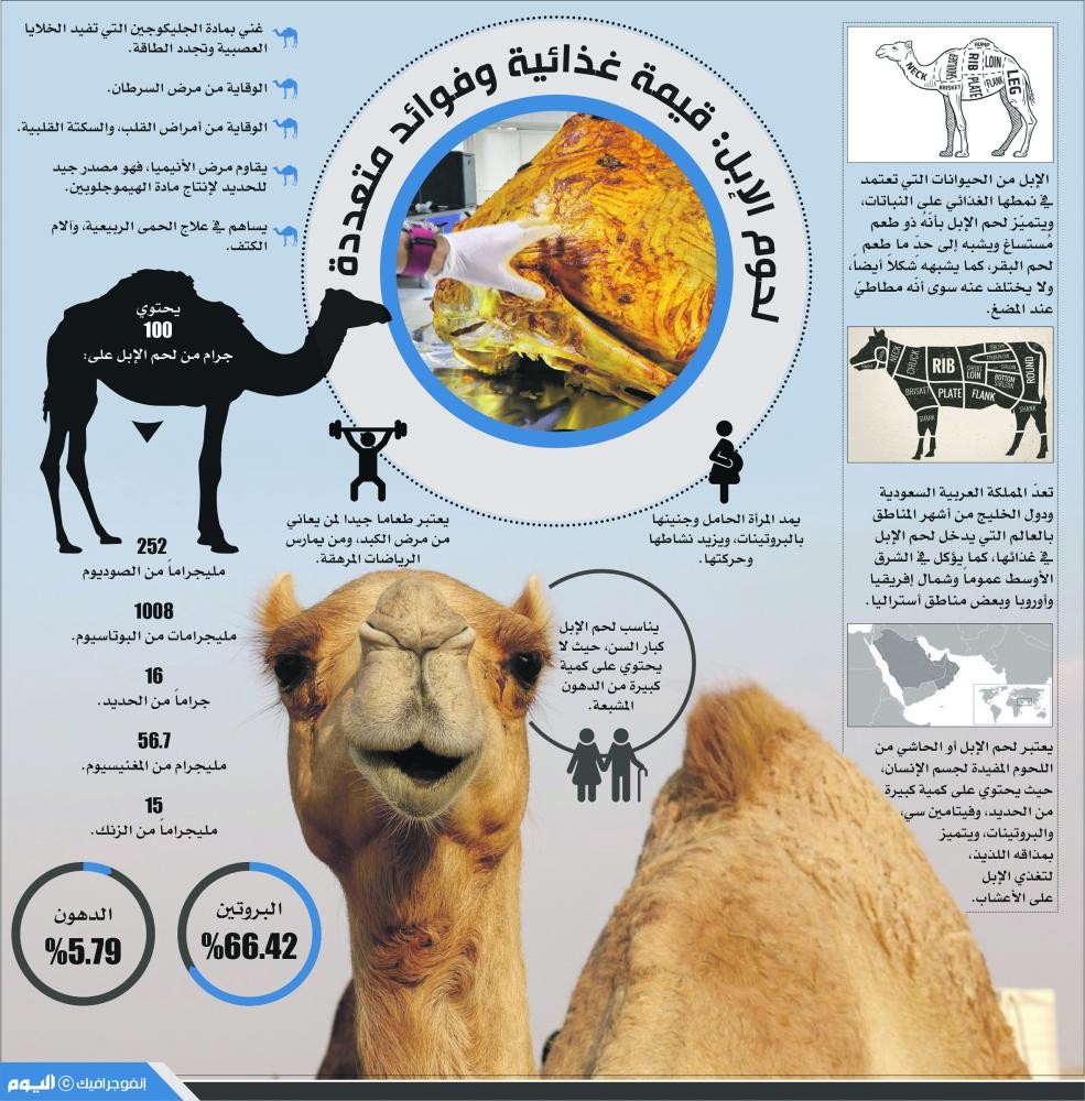 أنفوجرافيك