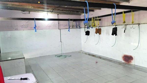 إزالة 8 مسالخ «مخالفة» داخل مزارع في النابية