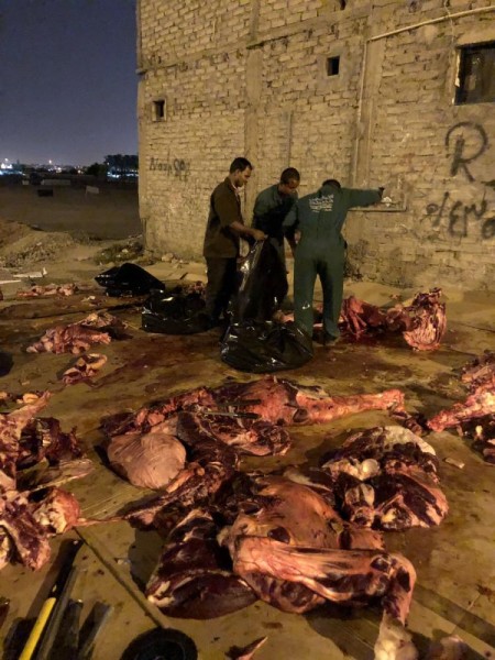 ضبط 1.8 طن من اللحوم الغير صالحة بالمدينة المنورة