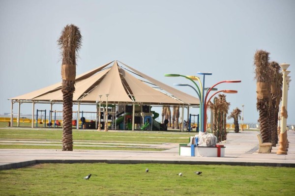 3800 شجرة تزين ميادين الخبر